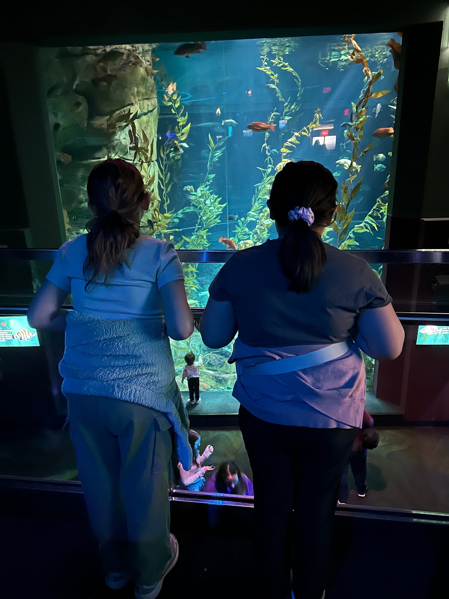 Two young girls with dark hair pulled in ponytails stand in front of a large aquarium display filled with brightly coloured fish.