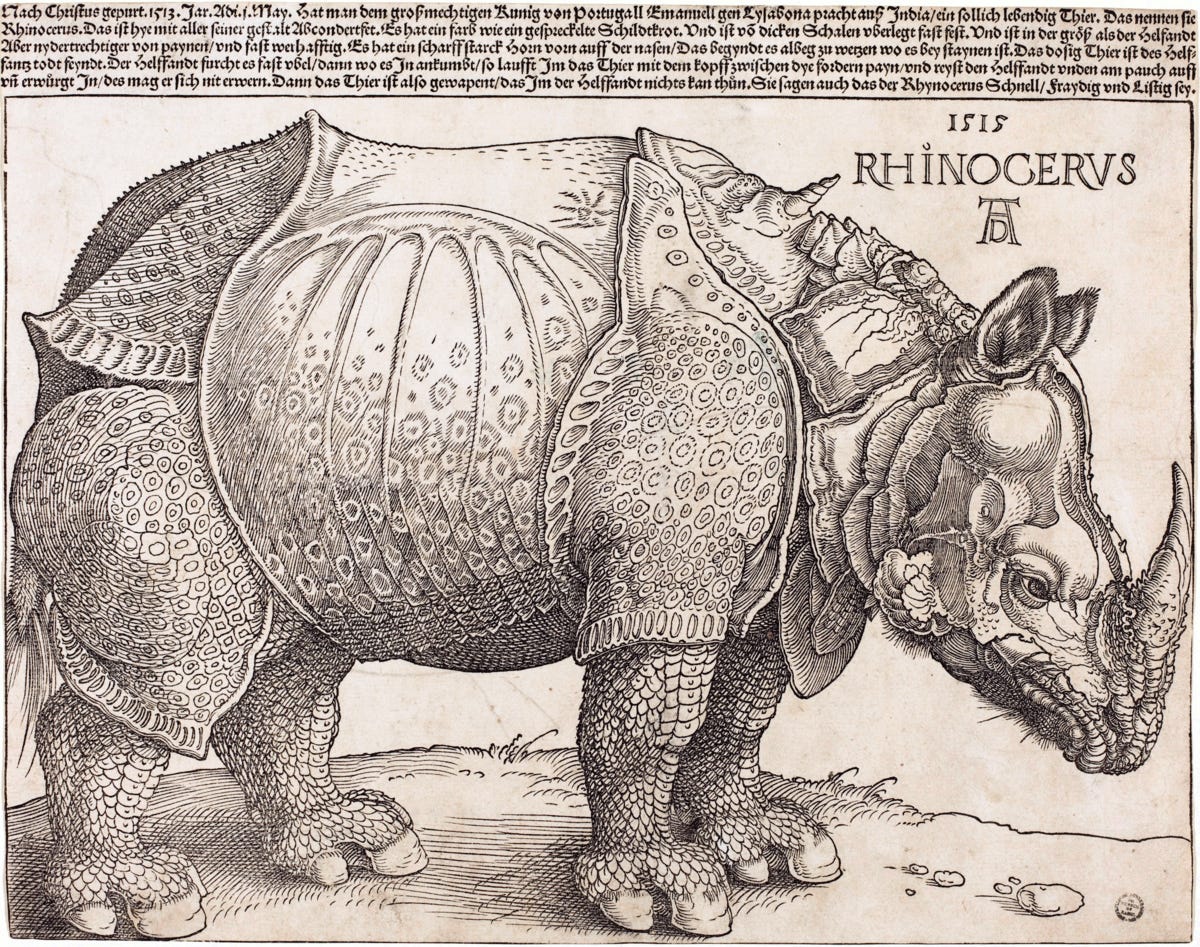 Dürer's Rhinoceros - Wikipedia