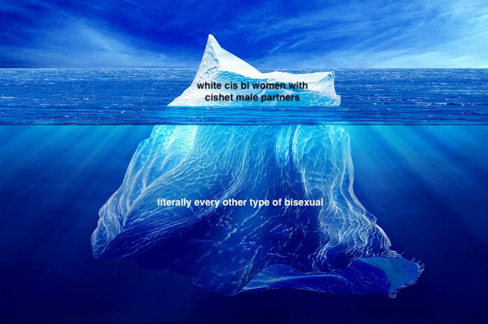 An iceberg. Above the water line is text reading "white cis bi women with cashew male partners." Below the water line is text reading "literally every other type of bisexual."