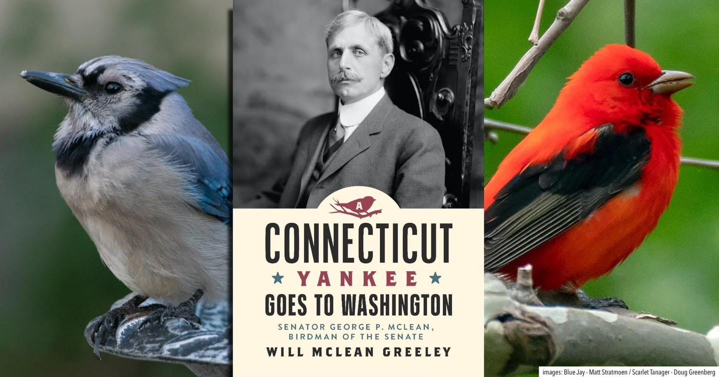 May be an image of 1 person, woodpecker and text that says 'A CONNECTICUT YANKEE GOES TO WASHINGTON SENATOR GEORGE MCLEAN, BIRDMAN THE SENATE WILL MCLEAN GREELEY wt.le.a-asaeossms/m/e images Blue -Mati Stratmoen Starlet Tanager Doug reenbert'