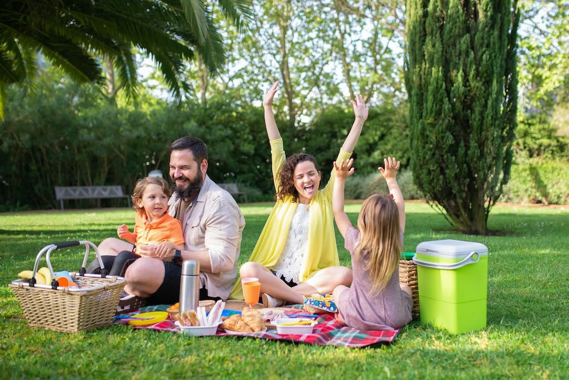 Free Family Having Fun at the Picnic Stock Photo