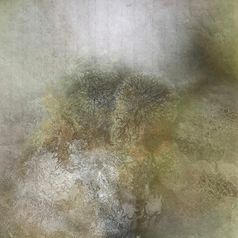 A softly textured monotype print of lichen and moisture