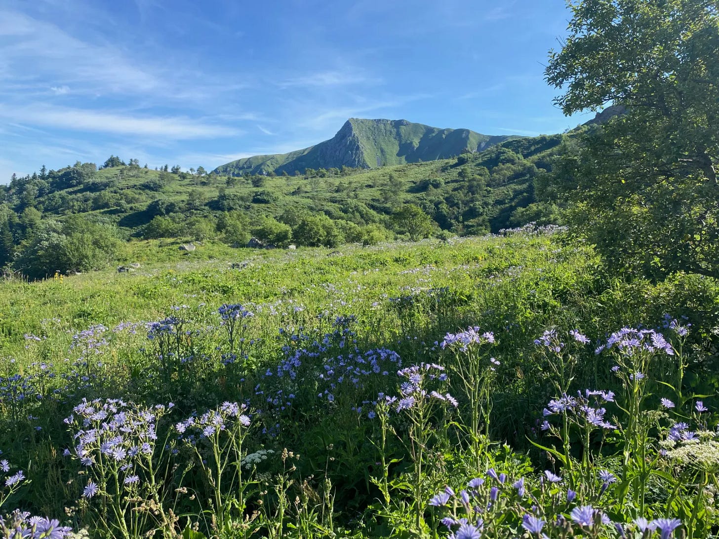 Mont_Dore Mont_Dore