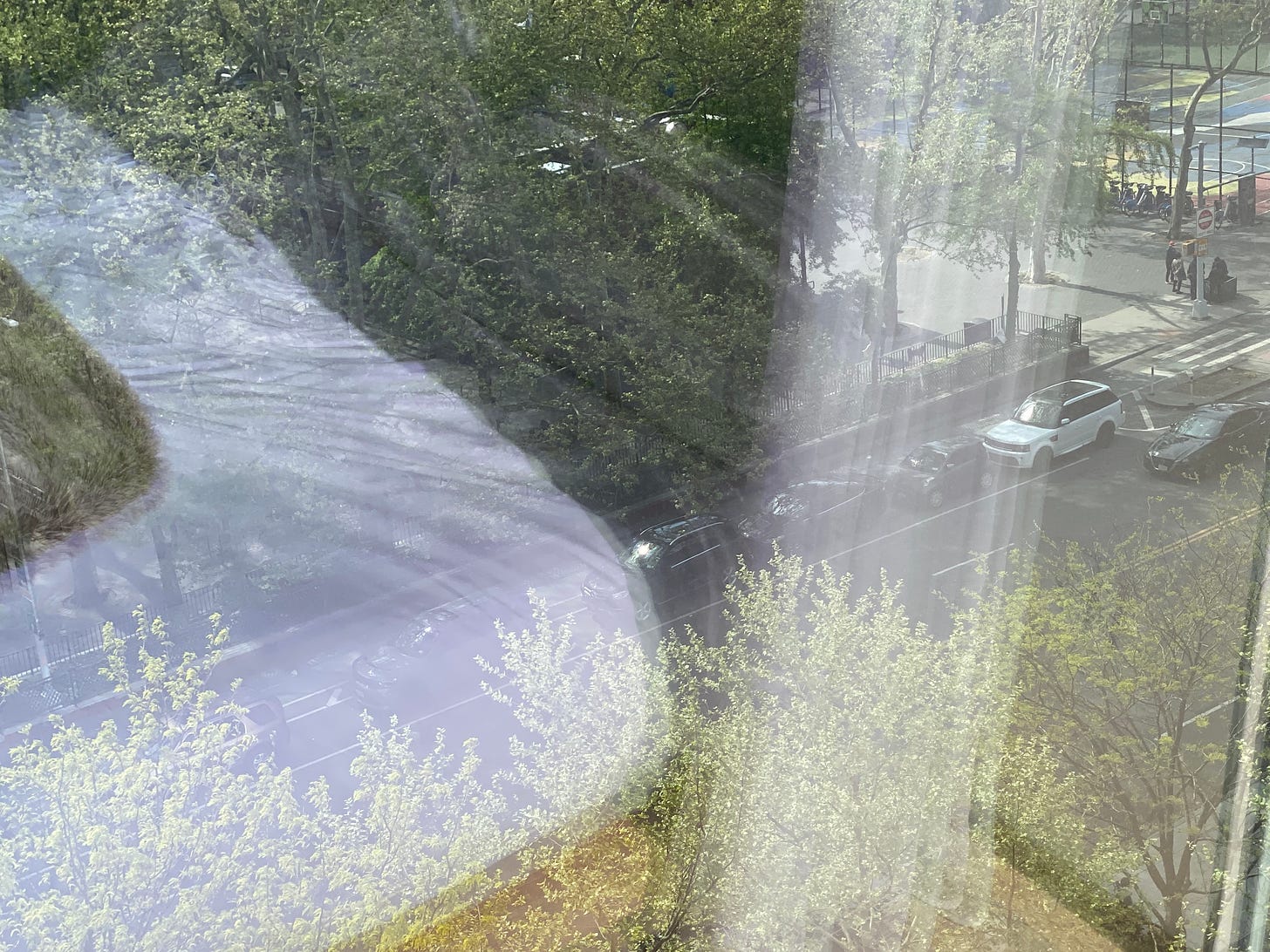 A photograph taken out a window looking down on a sunny street with cars and just-leafing trees. You can see reflections from inside the room, like haze ghost-images: a curtain coming down like shafts of light, the corner of a bed with white sheets. The overall effect of the image is being able to see and not being able to see at the same time.