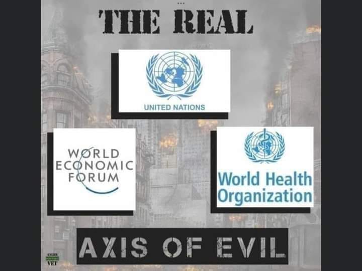 May be a graphic of text that says 'THE REAL UNITED NATIONS WORLD ECONOMIC FORUM World Health Organization AXIS OF EVIL'
