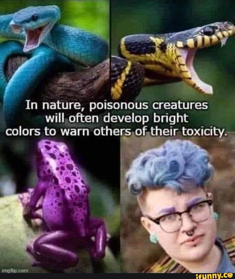 In nature, poisonous creatures will often develop bright colors to warn  their toxicity. I I com - iFunny Brazil