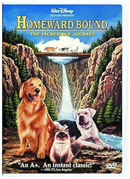 DVD Homeward Bound - The Incredible Journey Book