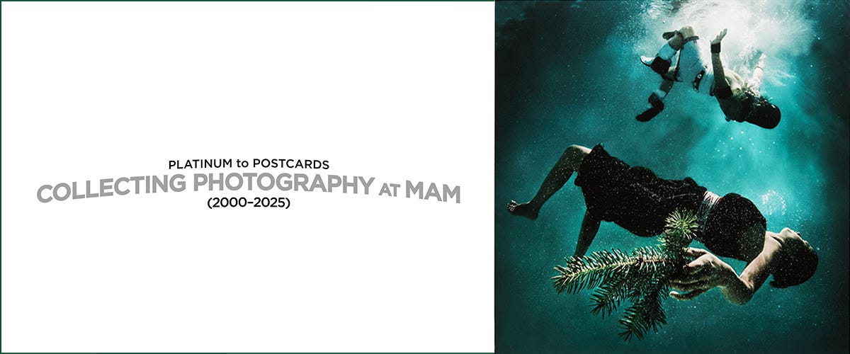 https://www.montclairartmuseum.org/exhibition/platinum-postcards-collecting-photography-mam-2000-2025