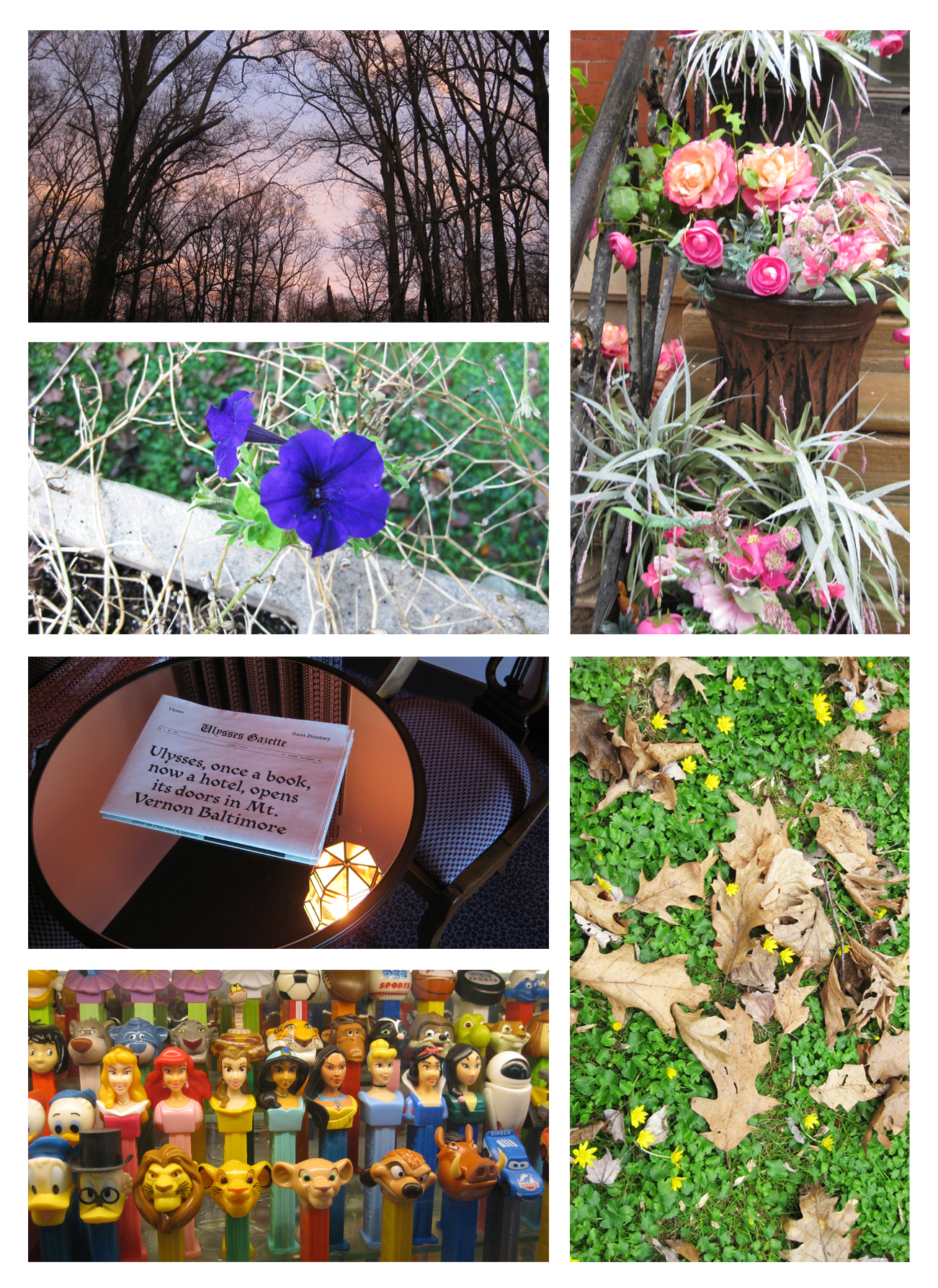 An array of digicam photographs arranged in a grid. From top left, clockwise: a pink and purple sunset through bare trees; a trio of planters containing pink flowers sit on rainy porch steps; several browned leaves are strewn across a patch of clover and buttercups; a collection of novelty Pez dispensers at the American Visionary Arts Museum; a mirrored tabletop with a newsprint communication from the Ulysses Hotel; a planter of mostly dead petunia stems with one purple flower remaining.