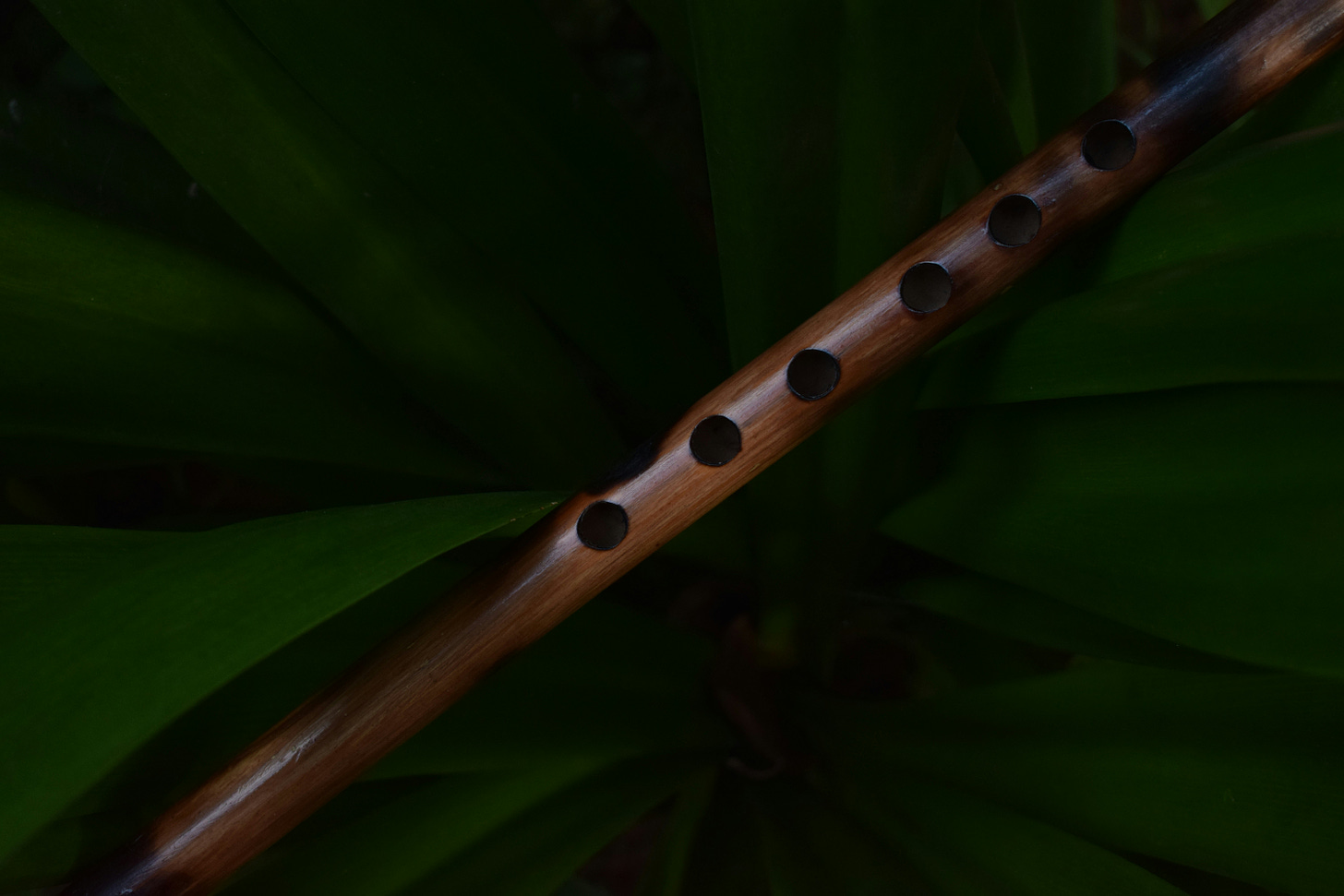 A wooden flute on a green leaf
