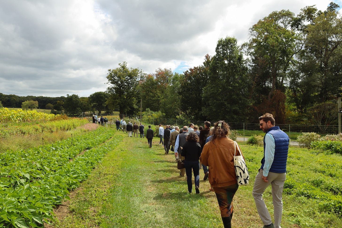 people walking on a farm