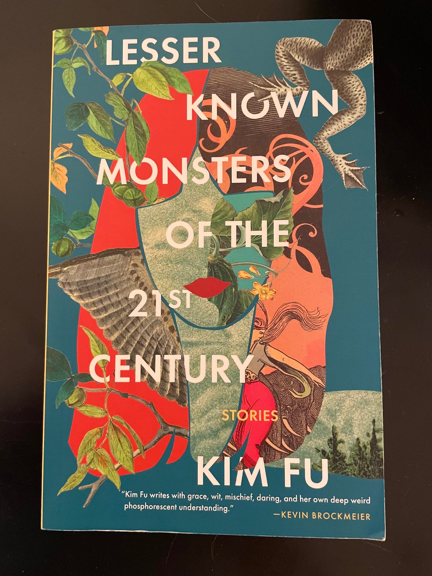 picture of short story collection Lesser Known Monsters Of The 21st Century by Kim Fu