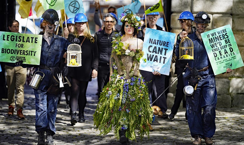 People at a protest, dressed as nature and miners. Signs read, "Legislate for biodiversity" and "Nature cannot wait."