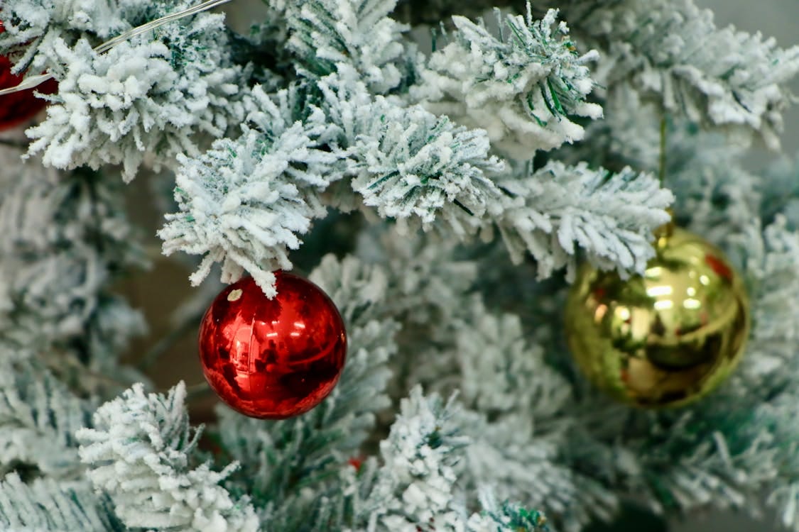 Free Close-up of a snowy Christmas tree with vibrant red and gold ornaments. Stock Photo