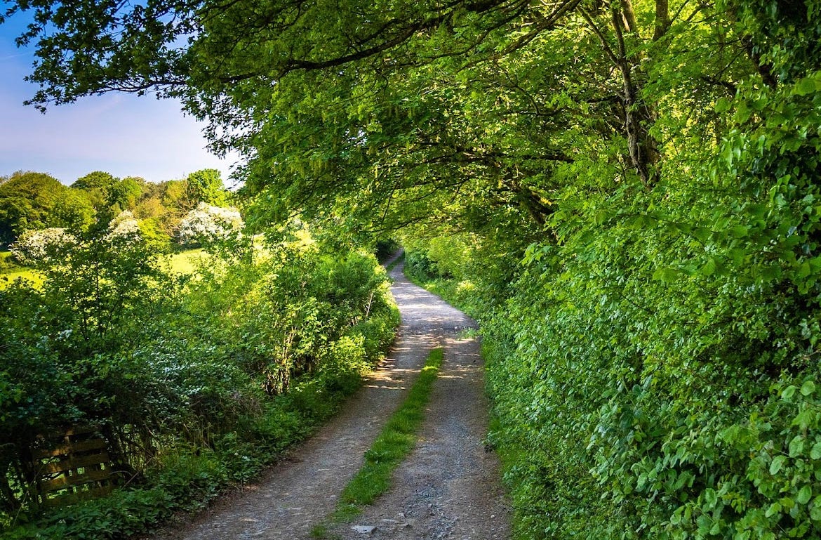 A carriage road up into the Mendip Hills near Wells, UK. Photo from Google Maps