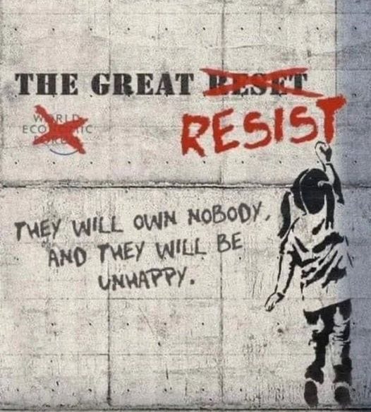 May be an image of text that says 'THE GREAT BESET RESIS THEY WILL OWN NOBODY, AND THEY WILL BE UNHAPPY.'
