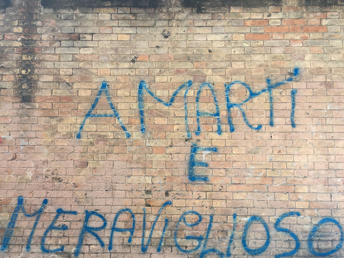 Blue graffiti on a brick wall in Rome reading 'Amarti è meraviglioso' (Loving you is wonderful). Photo by Michelle Ciani. Blue graffiti on a brick wall in Rome reading 'Amarti è meraviglioso' (Loving you is wonderful). Photo by Michelle Ciani.