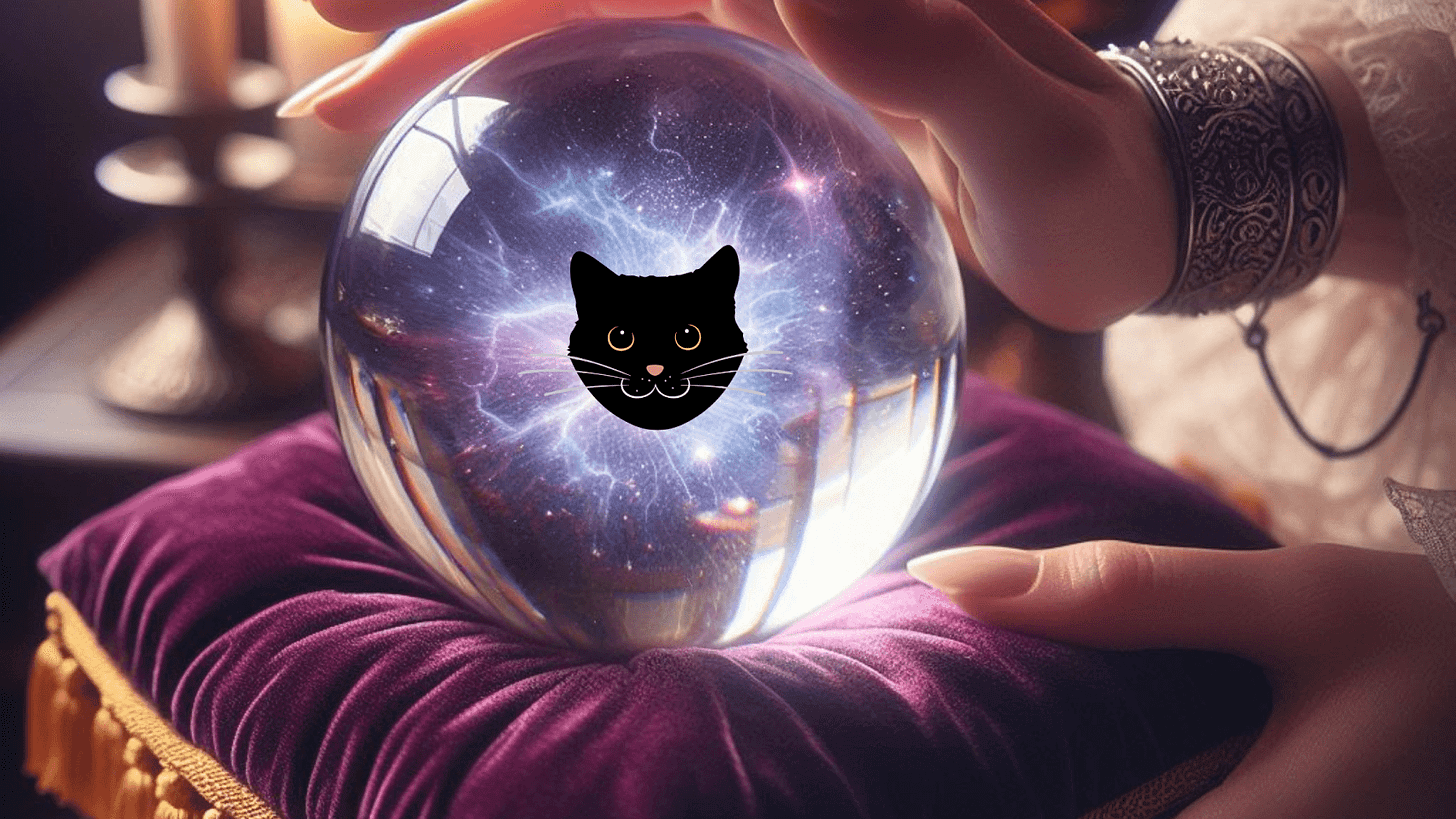 Image of cat face inside crystal ball