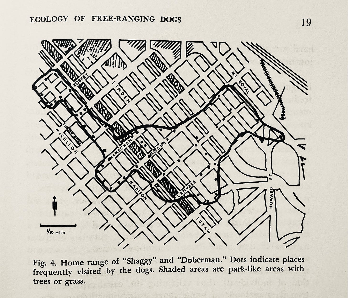 Map from The Ecology of Stray Dogs