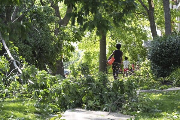 People navigate downed trees left in the wake of a severe storm moved through Friday, May 16, 2025, in St. Louis. (AP Photo/Jeff Roberson) People navigate downed trees left in the wake of a severe storm moved through Friday, May 16, 2025, in St. Louis. (AP Photo/Jeff Roberson)