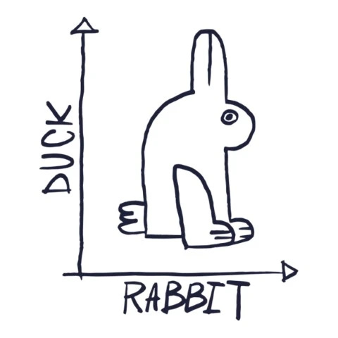 Rukou kreslený obrázek, který vypadá jako králík, ale když se pootočí, vypadá jako kachna.