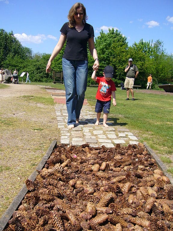 Sensory Garden with tactile pathway Sensory Garden with tactile pathway