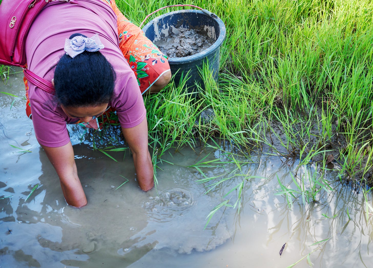 collecting mud