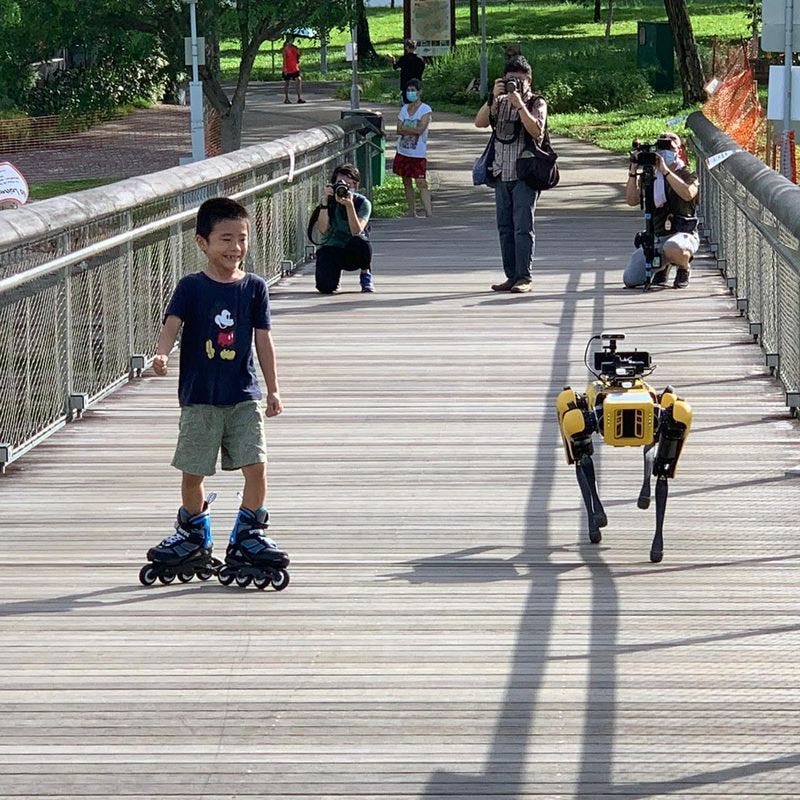 Singapore Is Using a Robotic Dog to Enforce Proper Social Distancing During  COVID-19 | Smart News| Smithsonian Magazine