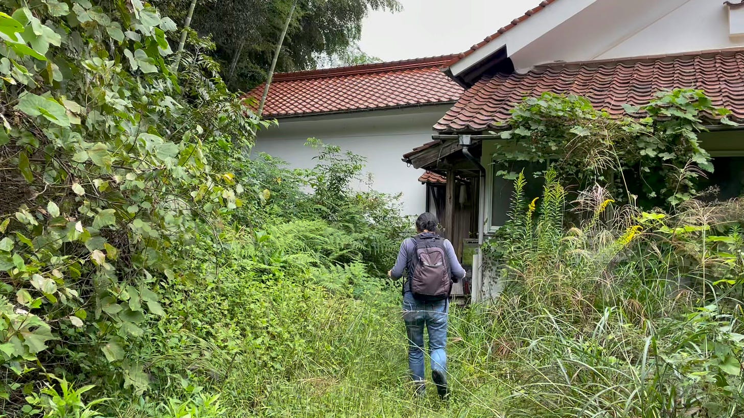 A woman with a backpack walks amid high weeds towards a house with a red tile roof