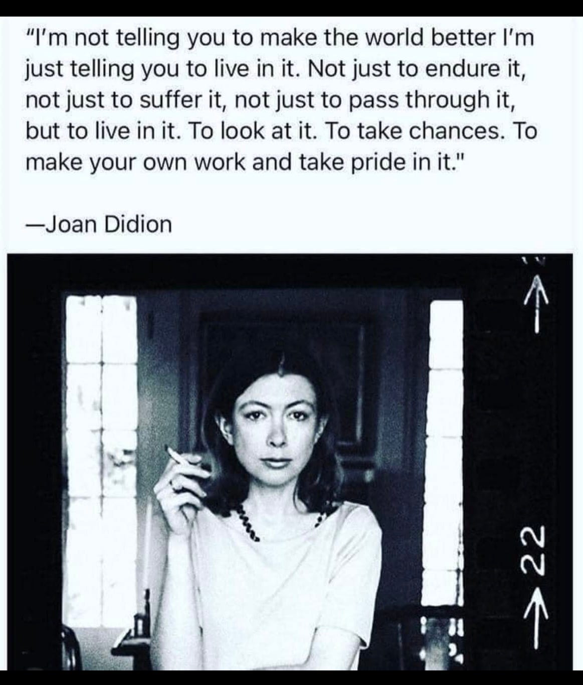 “I’m not telling you to make the world better I’m just telling you to live in it. Not just to endure it, not just to suffer it, not just to pass through it, but to live in it. To look at it. To take chances. To make your own work and take pride in it.” a Joan Didion quote, with a black and white picture of her smoking as a young woman.