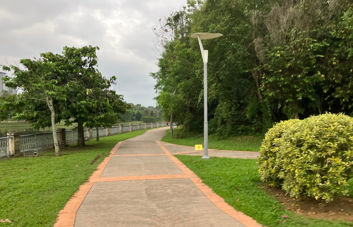 Lots of greenery around the path