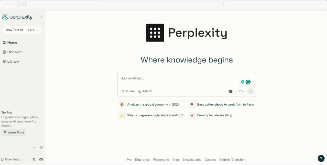 perplexity ai