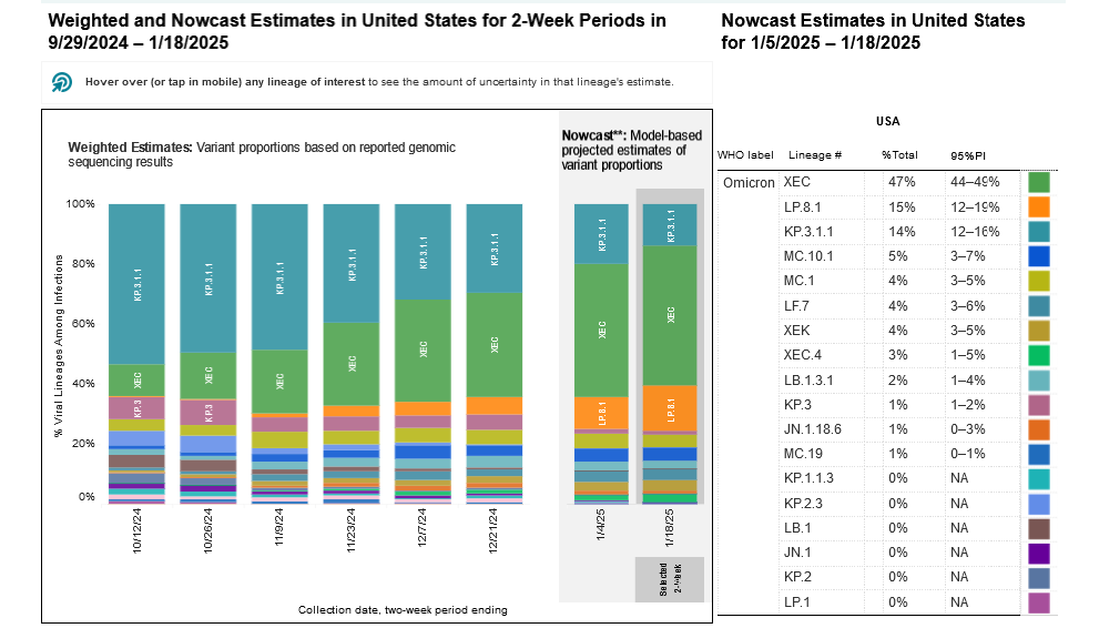 Two stacked bar charts with two-week periods for sample collection dates on the horizontal x-axis and percentage of viral lineages among infections on the vertical y-axis. Title of the first bar chart reads “Weighted Estimates: Variant proportions based on reported genomic sequencing results” with collection dates ranging from 10/12/24 to 12/21/24. The second chart’s title reads “Nowcast: model-based projected estimates of variant proportions,” dates labeled 1/4/2025 and 1/18/2025. Within the 1/18/25 Nowcast projections, XEC (green) is at 47%, KP.3.1.1 (light teal) is 14% and LP.8.1 (ochre) 15%. Other variants are at smaller percentages represented by a handful of other colors as small slivers. The legend with a list of variants, proportions, and their associated colors is on the far right of the bar charts.