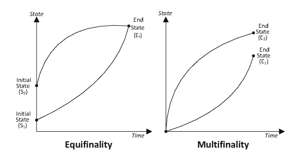 The Goal Axiom, Equifinality and Multifinality