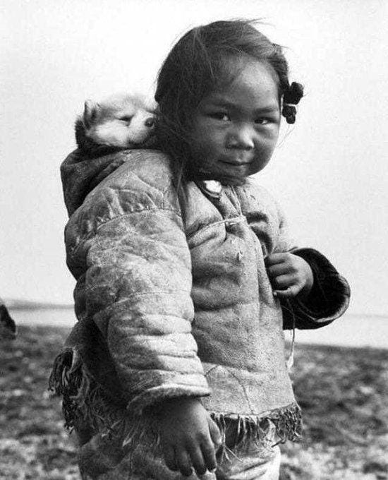 r/aww - a young person with a dog on their shoulder
