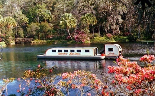Glass Bottomed Boat at Rainbow Springs