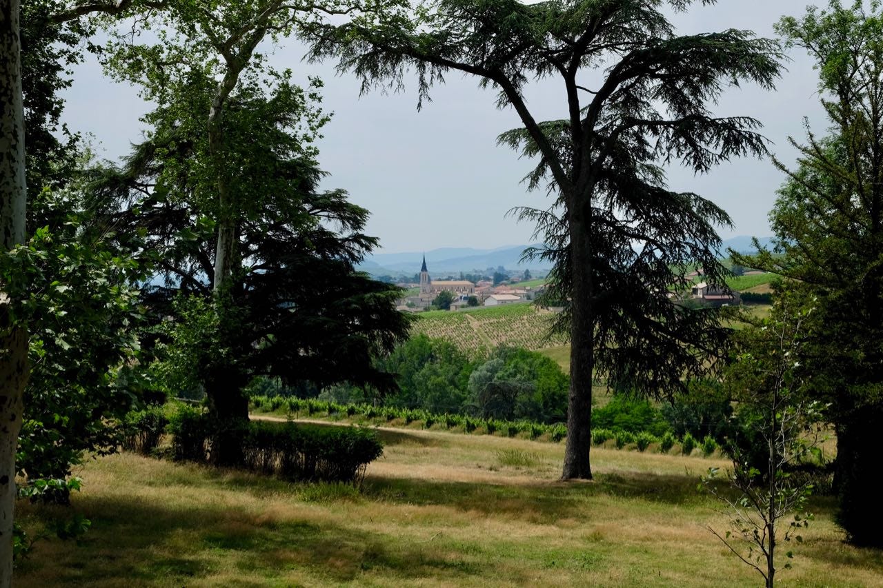 The view of Fleurie from Château de Poncié