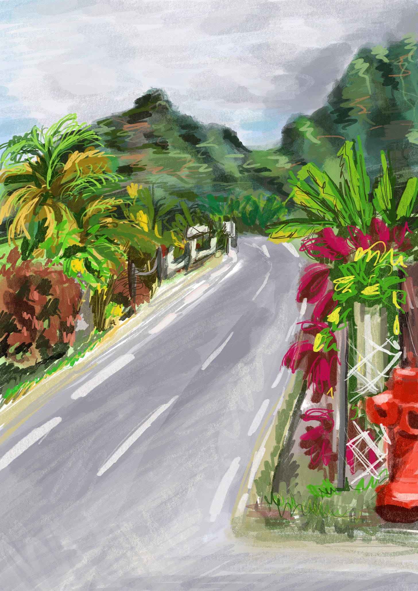 The road near Afareaitu Mo'orea