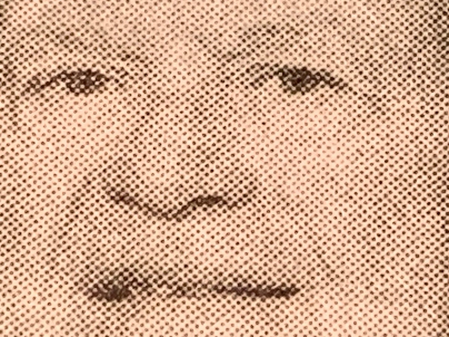 An extreme closeup detail of a photograph of Associate Justice of the Supreme Court of the United States Samuel Alito in the print edition of the New York Times.