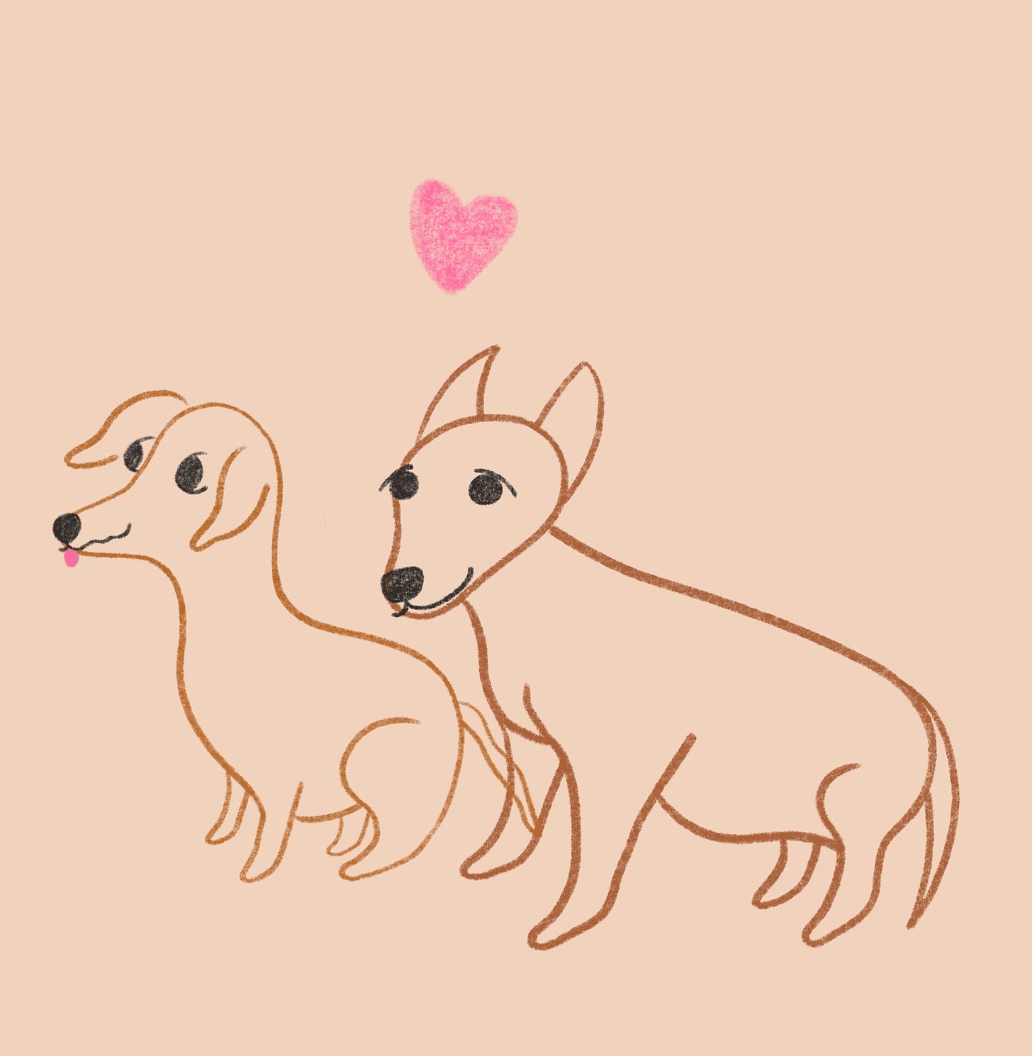 a creamy beige background, there are two simple line drawings of Pancho and Scooter from left to right Pancho is smaller and a chihuahua and is sticking out his tongue, he has buggy eyes and a crinkly smile and is seated to the right of him is Scooter who is slightly larger and is a chihuahua mix, maybe part Shiba Inu he resembles a fox with point ears that stick up in between them is a link pink heart