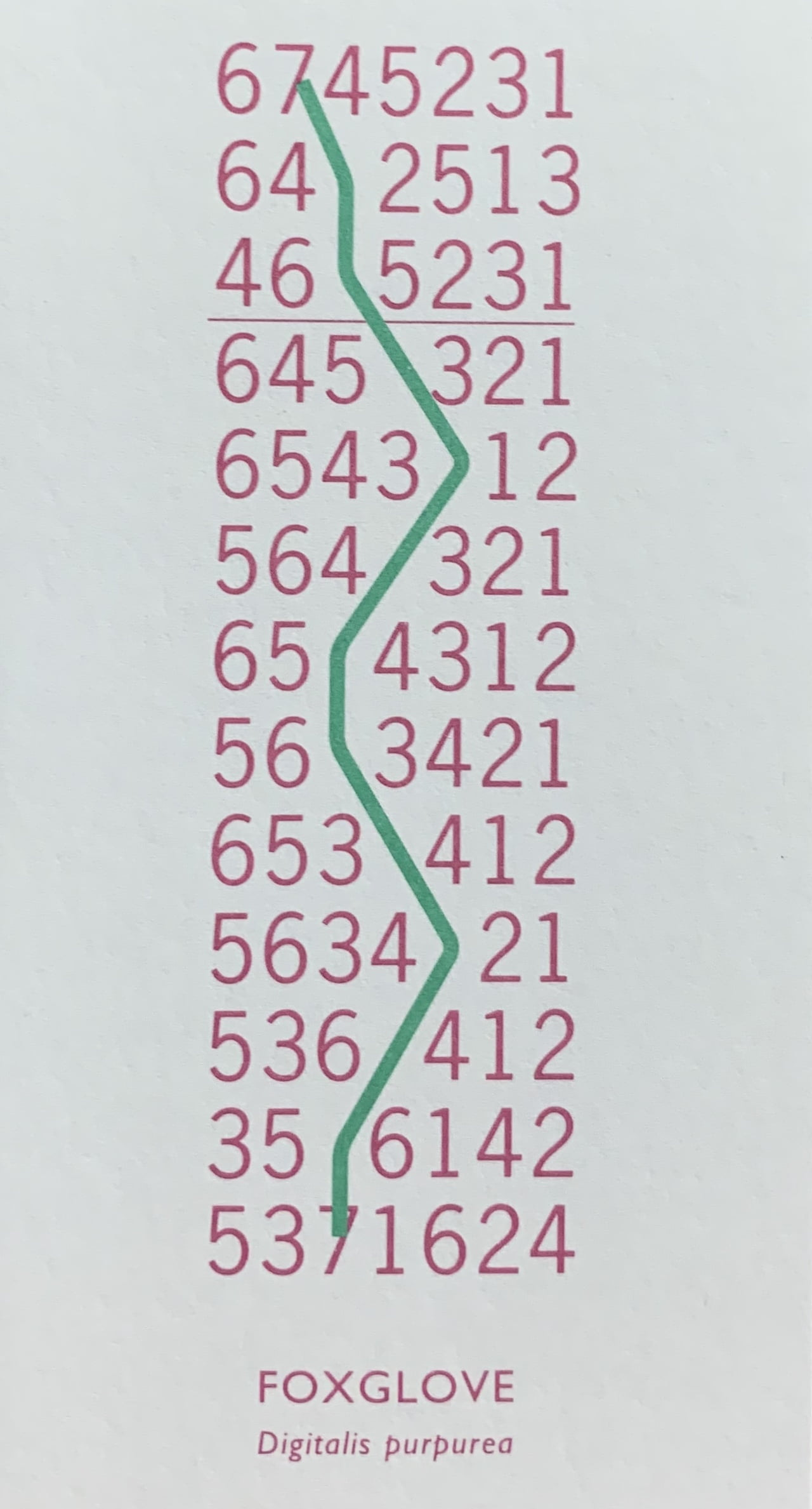 Ian Hamilton Finlay's "Foxglove": a column of lines comprising the numbers 1-6 in different combinations, with a crooked green line following the path of 7