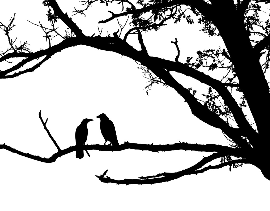 Two crows, one a smaller female to the slightly larger male, sitting on the branch of a leafless tree facing each other in the forefront of the picture.  The background of the picture is white, in stark contract to the black crows and the black tree branches coming from the tree trunk on the right side.