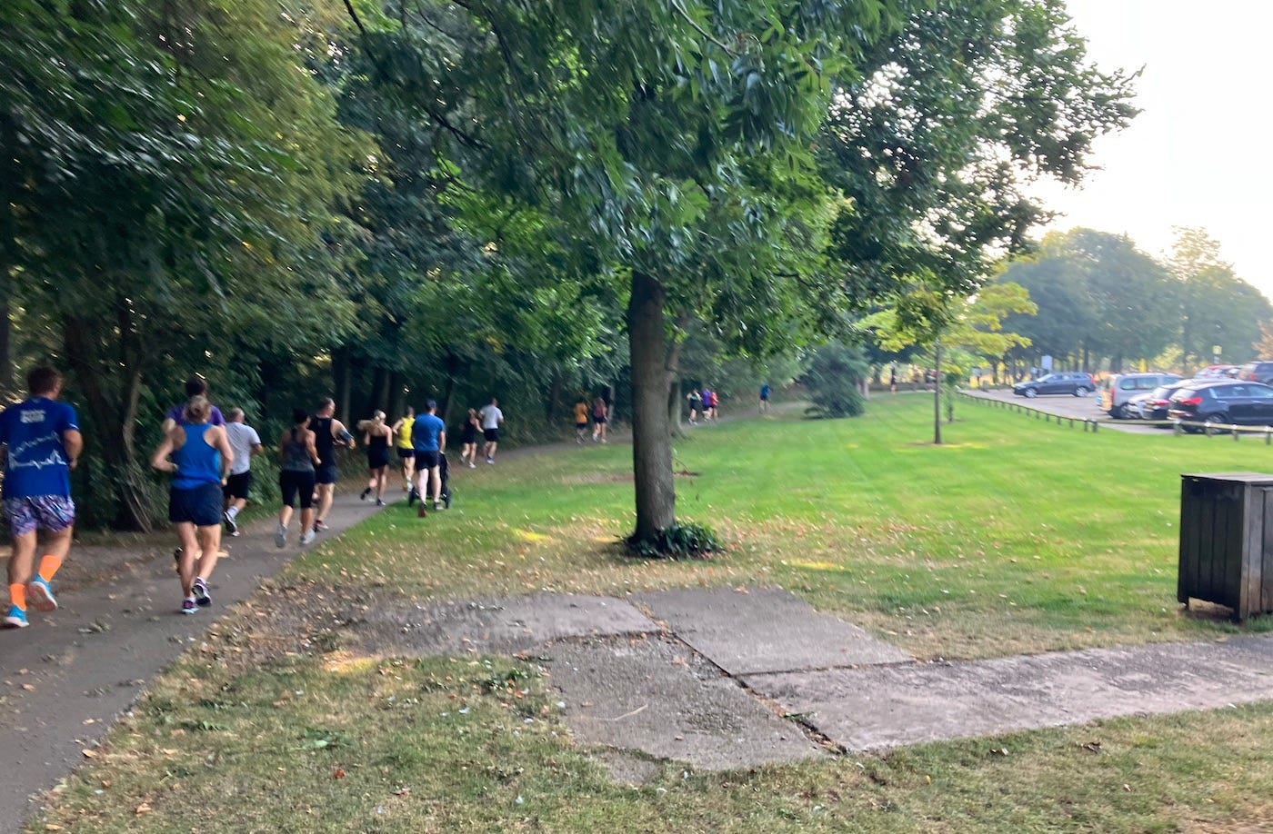 Runners heading down a tree-lined avenue