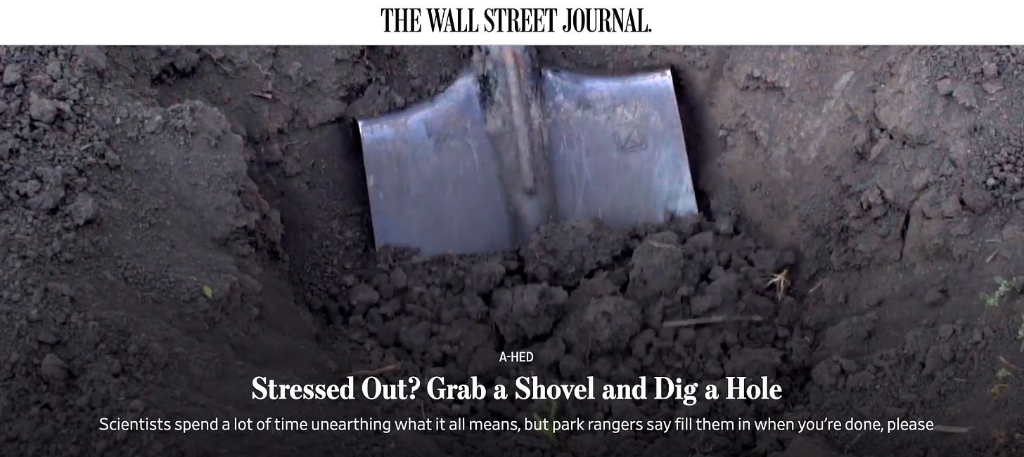 Screenshot of the hero graphic and headline from the Wall St. Journal article “Stressed Out? Grab a Shovel and Dig a Hole,” with an image of a shovel plunging into block dirt.