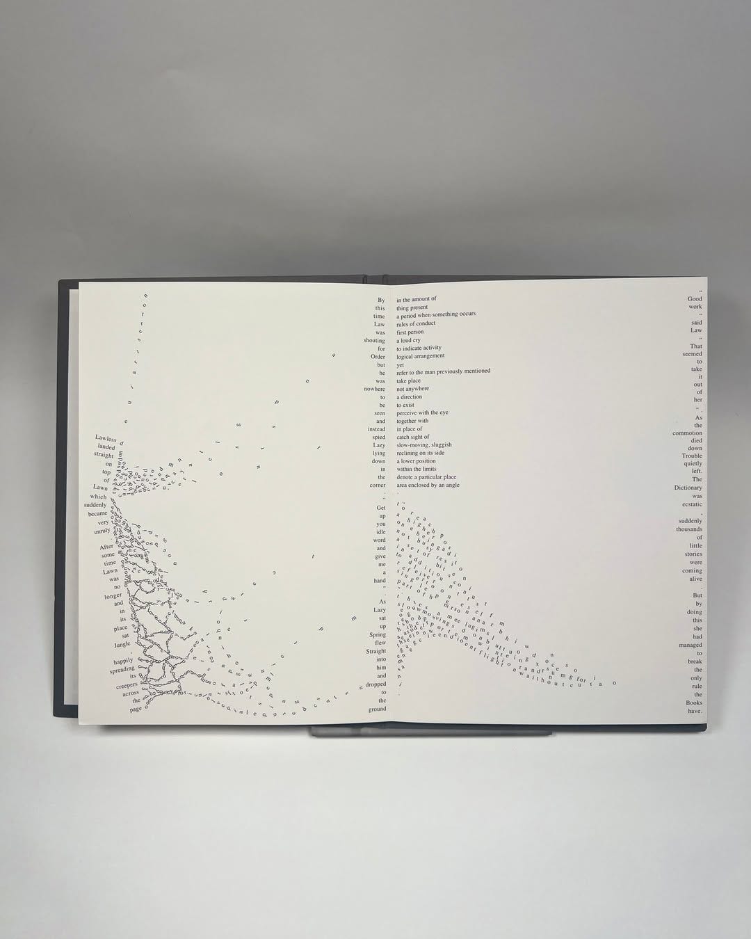 Sam Winston, A Dictionary Story, 2009, First Trade Edition, Produced by Arc Artist Editions [Center for Book Arts, New York, NY. © Sam Winston]