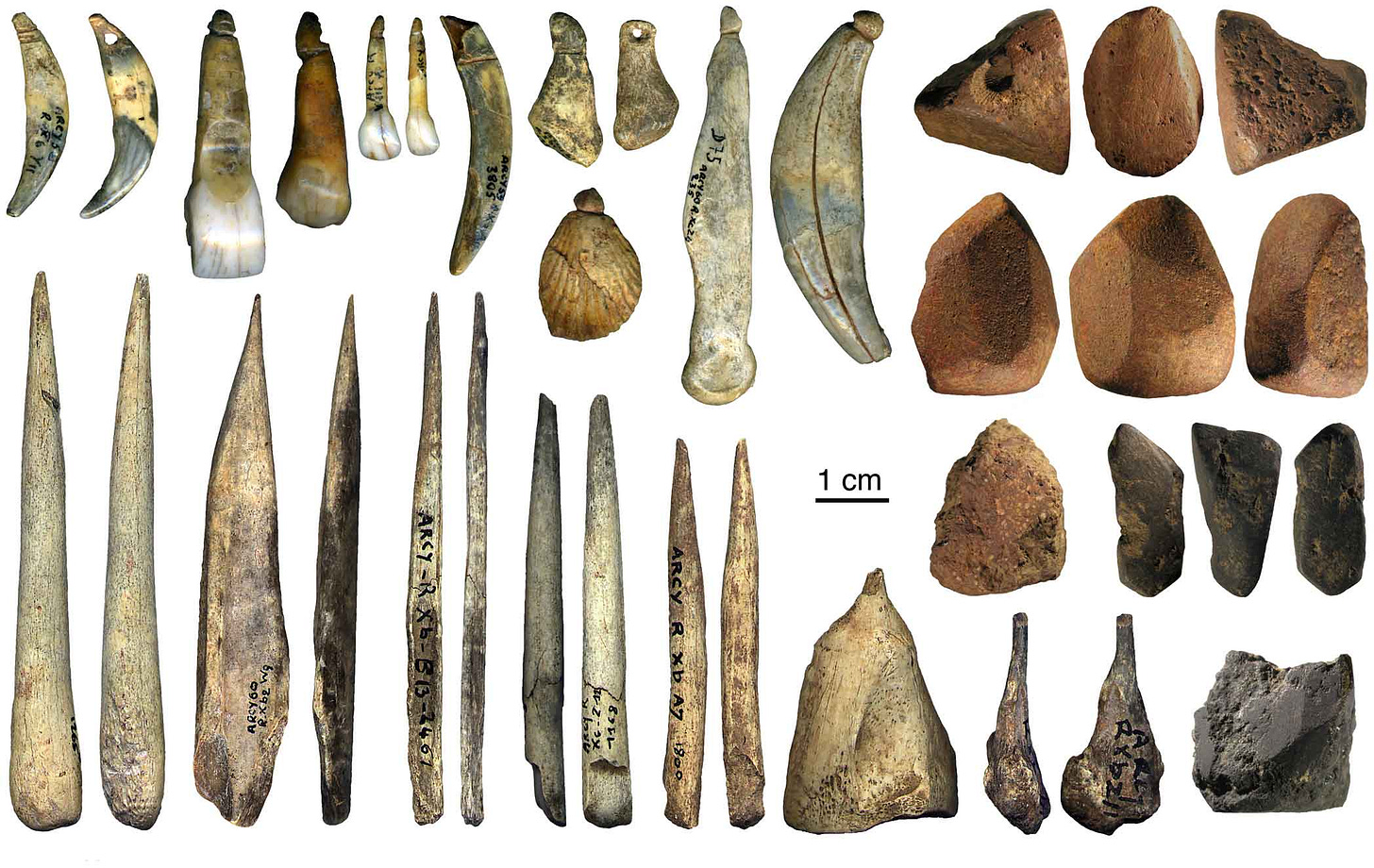 A large number of tooth pendants, bone points, and pigment lumps A large number of tooth pendants, bone points, and pigment lumps