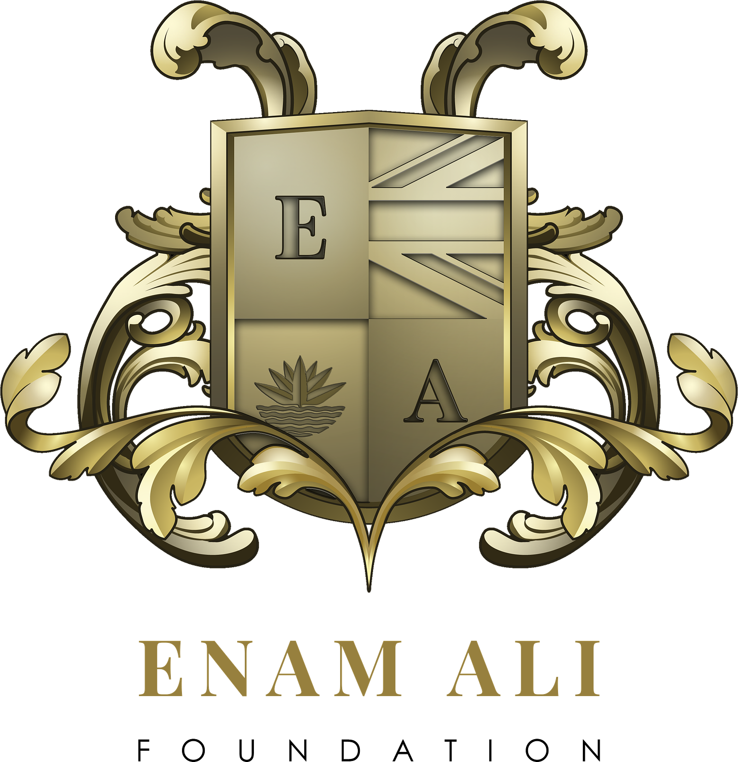 ENAM ALI FOUNDATION