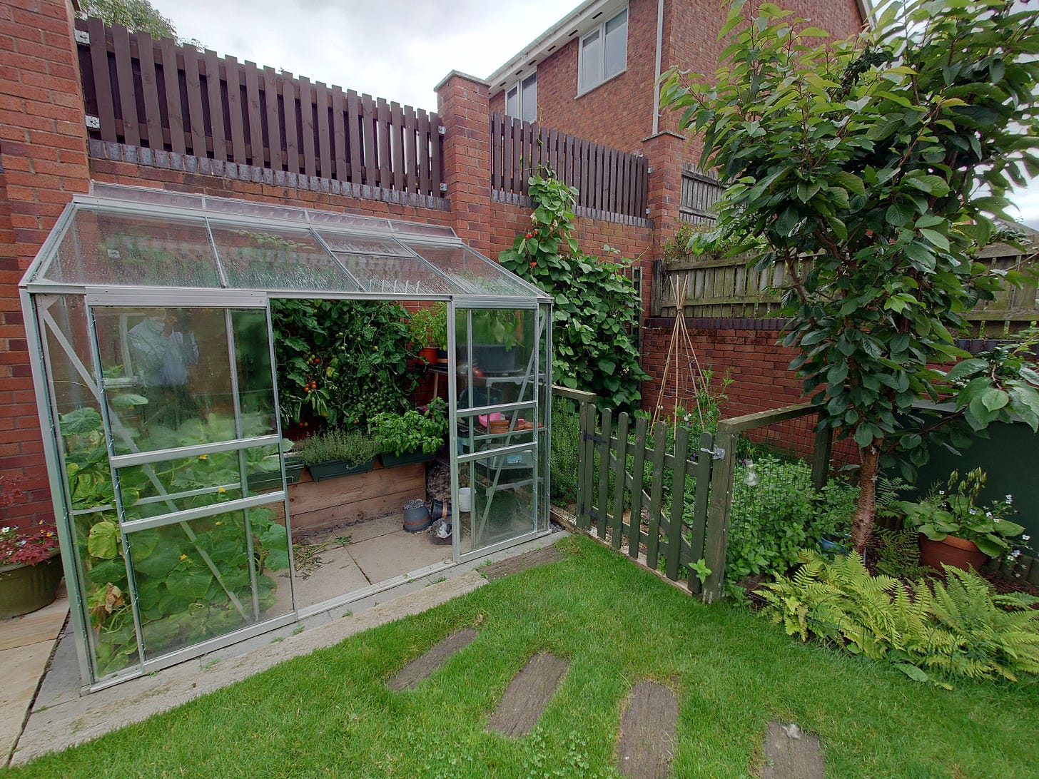 Photo of greenhouse, veggie patch, dwarf cherry tree and fernery