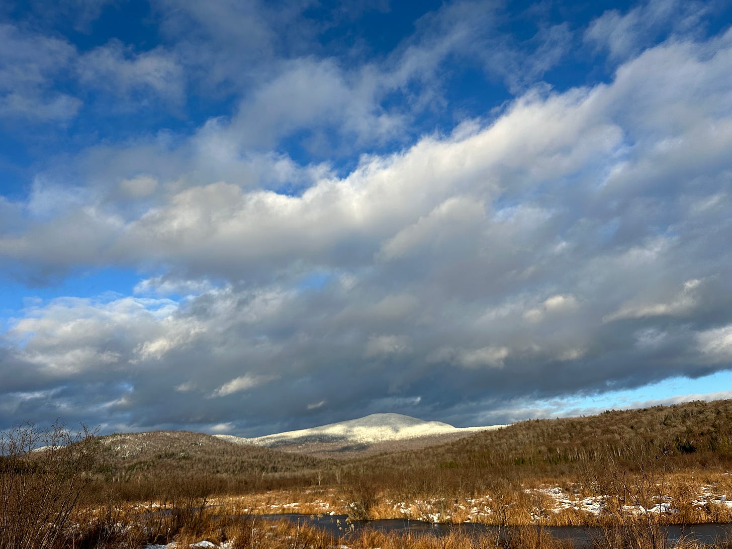 Snowy swamp in the White Mountains of New Hampshire