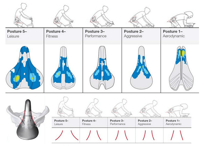 shema montrant ou les cyclistes s'appuie le plus sur leur selle de velo